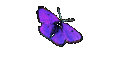 Aerotow.com