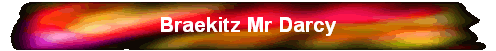 Braekitz Mr Darcy