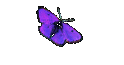 Catherine Fat