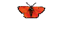 Clean Jokes