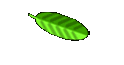 Crap Jokes