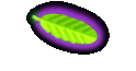 Cute Cat Contest