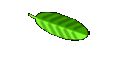 Cute Cat Contest