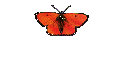 Darcy1
