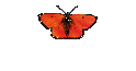 Darcy2