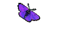 Irish Jokes