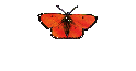 Irish Jokes