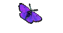 Jennifer Fat
