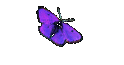Lanzarote 2004