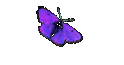 Liz Hurley