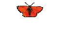 Liz Hurley