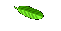 Lovely Links