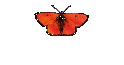 Pie Eating