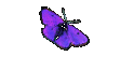 Roger1