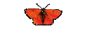 Roger1