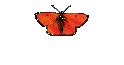Roger2