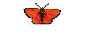 Roger3