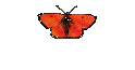 Roger4
