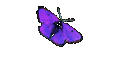 Roger