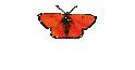 Roger