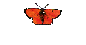 Scottish Jokes