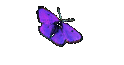 Sexist Jokes