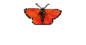 Sexist Jokes